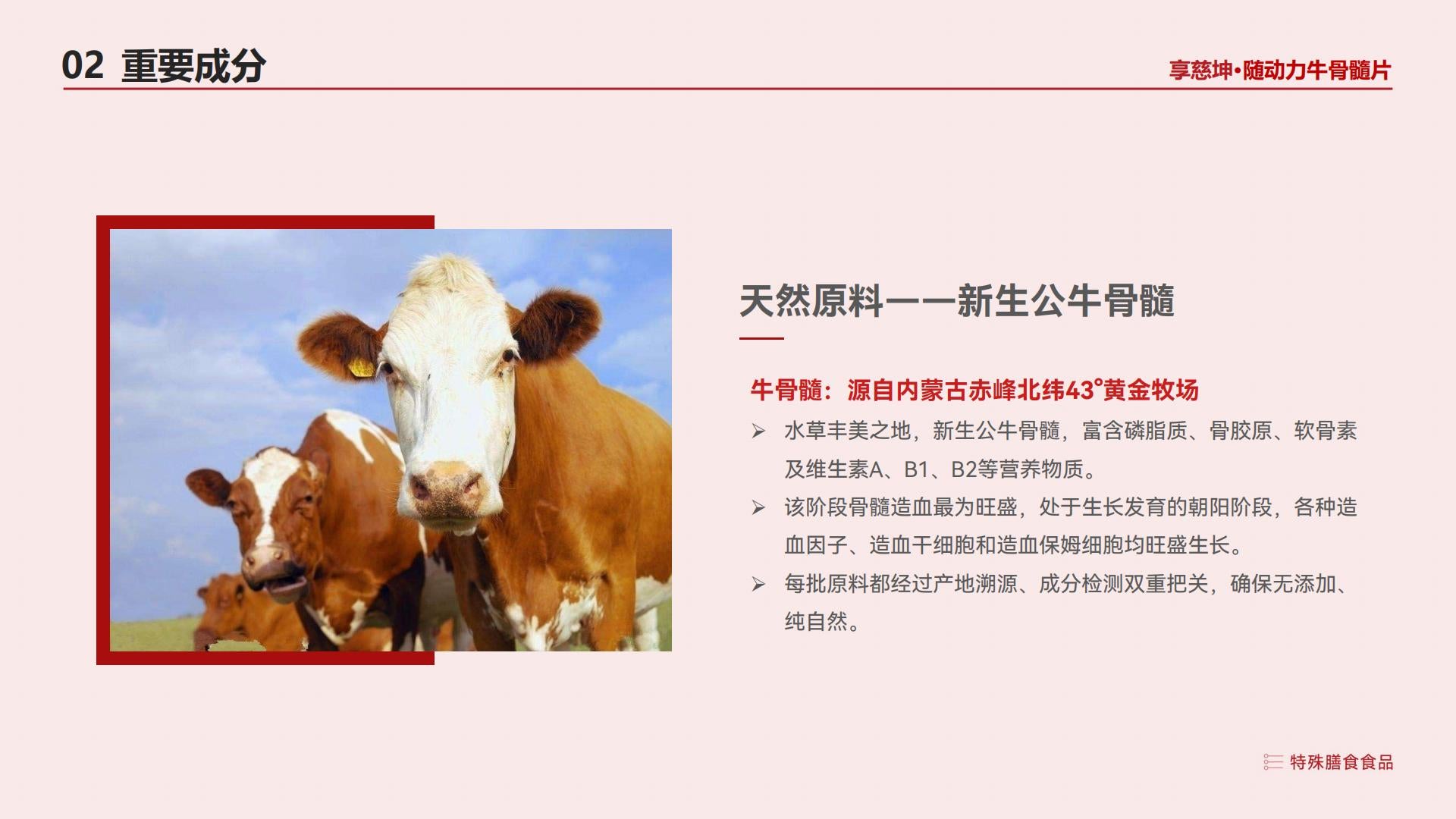 【随动力】Sui dongli